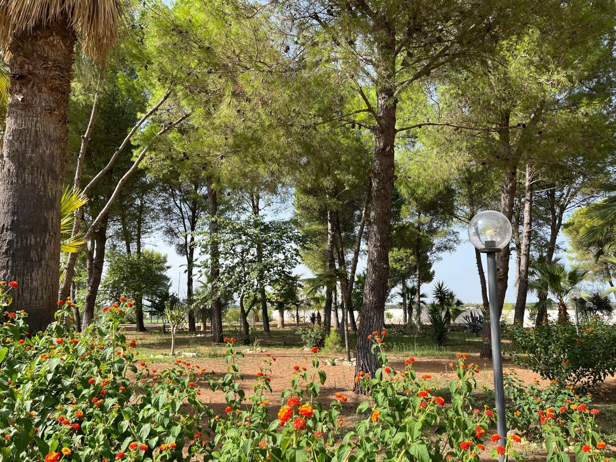 Apartment Masseria La Camardia Sava